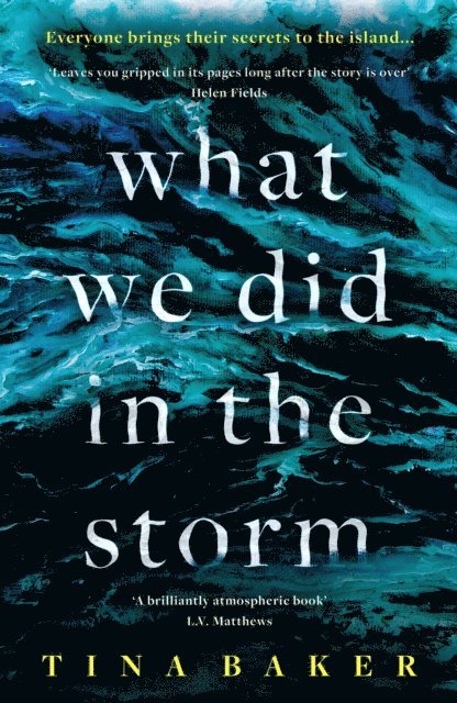 Tina Baker - What We Did In The Storm, E-bok