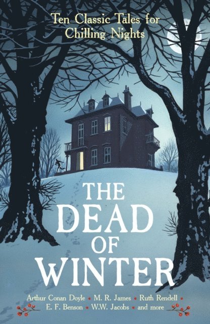 Various, Cecily Gayford - Dead of Winter, E-bok