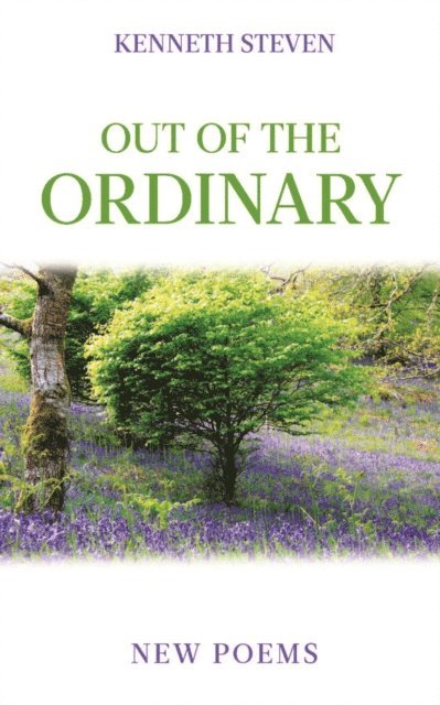 Kenneth Steven - Out of the Ordinary, E-bok