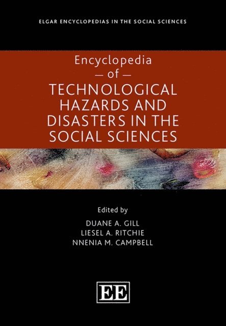 Nnenia M. Campbell, Liesel A. Ritchie, Duane A. Gill - Encyclopedia of Technological Hazards and Disasters in the Social Sciences, E-bok