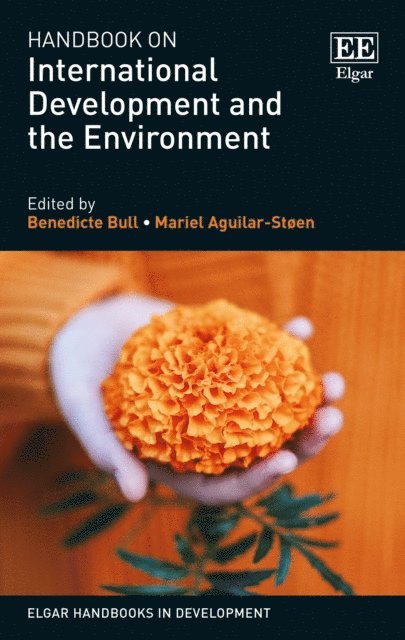 Mariel Aguilar-Stoen, Benedicte Bull - Handbook on International Development and the Environment, E-bok