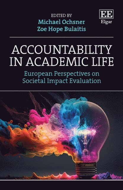 Zoe H. Bulaitis, Michael Ochsner - Accountability in Academic Life, E-bok