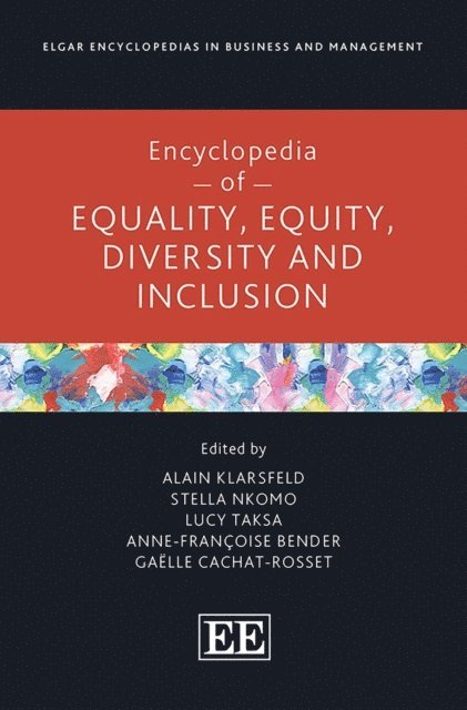 Gaelle Cachat-Rosset, Anne-Francoise Bender, Lucy Taksa, Stella Nkomo, Alain Klarsfeld - Encyclopedia of Equality, Equity, Diversity and Inclusion, E-bok