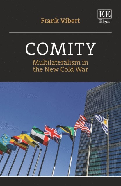 Frank Vibert - Comity, E-bok