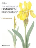 The Kew Book of Botanical Illustration (paperback edition)