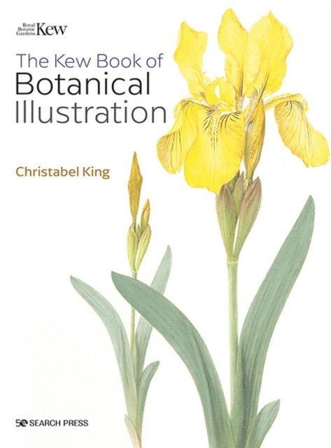 Christabel King - Kew Book of Botanical Illustration (paperback edition), E-bok