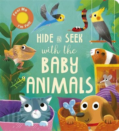 Molly Littleboy - Hide and Seek with the Baby Animals, Kartonnage