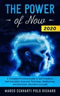 The Power of Now 2020