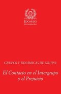 Grupos y Din�micas de Grupo