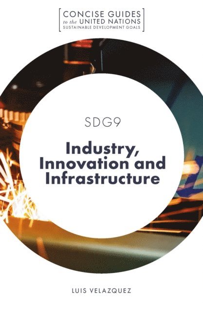 Luis Velazquez - SDG9 - Industry, Innovation and Infrastructure, E-bok