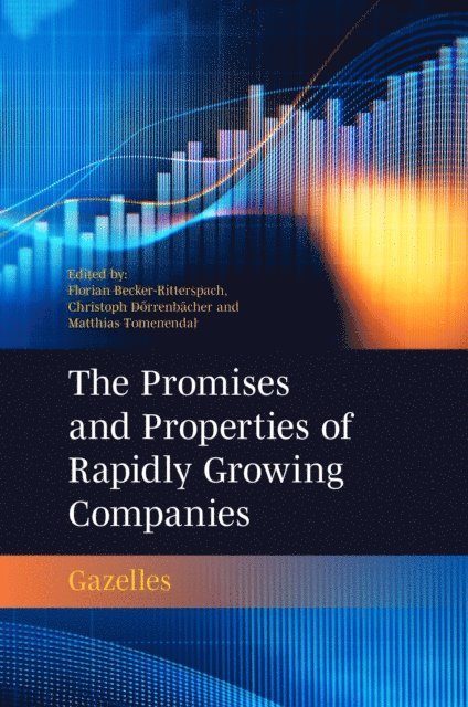 Matthias Tomenendal, Christoph Dorrenbacher, Florian Becker-Ritterspach - Promises and Properties of Rapidly Growing Companies, E-bok