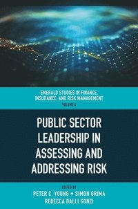 Public Sector Leadership in Assessing and Addressing Risk