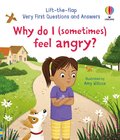Very First Questions and Answers: Why do I (sometimes) feel angry?