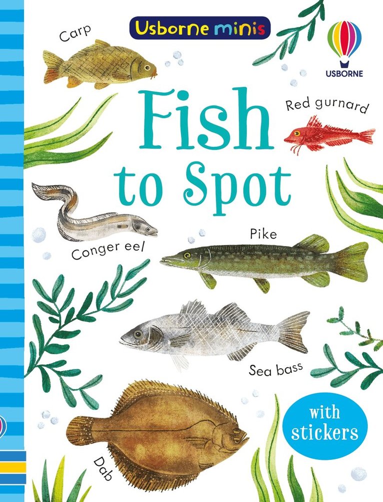 Kate Nolan - Fish to Spot, Häftad