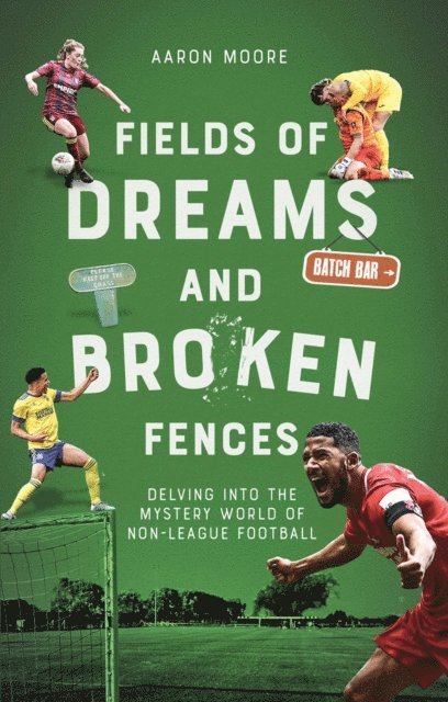 Aaron Moore - Field of Dreams and Broken Fences, E-bok