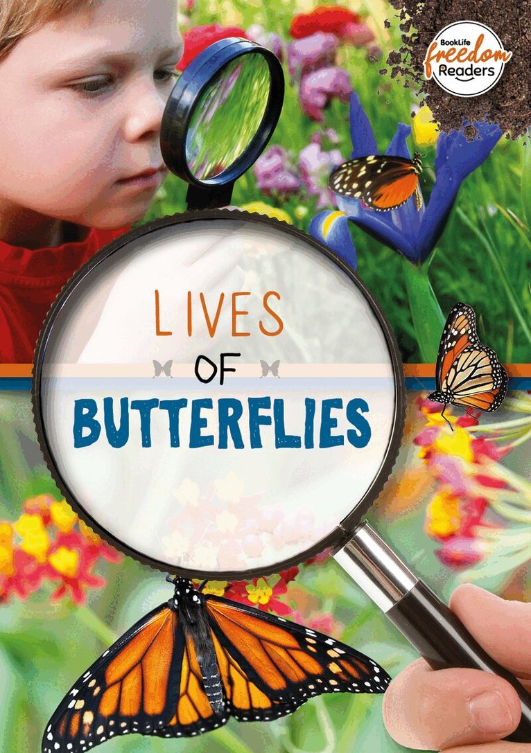 Holly Duhig - Lives of Butterflies, Häftad