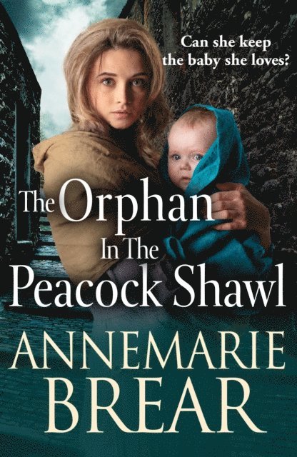 AnneMarie Brear - Orphan in the Peacock Shawl, E-bok