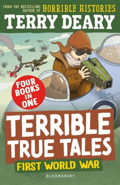 Terry Deary - Terrible True Tales: First World War, E-bok