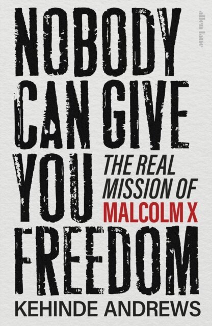 Kehinde Andrews - Nobody Can Give You Freedom, E-bok