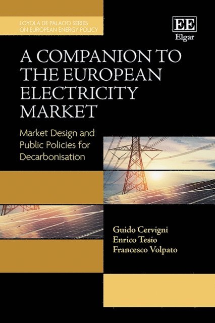 Francesco Volpato, Enrico Tesio, Guido Cervigni - Companion to the European Electricity Market, E-bok
