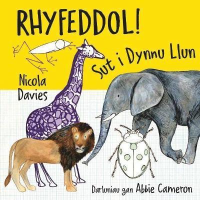 Nicola Davies - Rhyfeddol! Sut i Dynnu Llun, Häftad. Tillgänglighet: Lägg i varukorg
