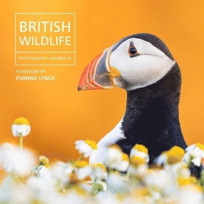 Will Nicholls - British Wildlife Photography Awards 13, Inbunden
