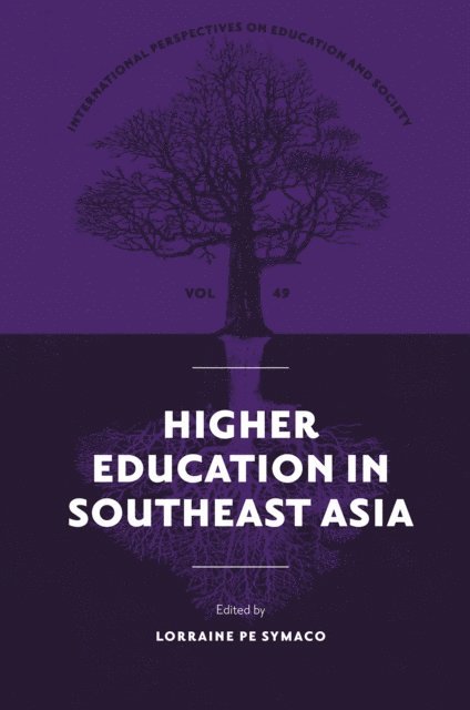Lorraine Pe Symaco - Higher Education in Southeast Asia, E-bok