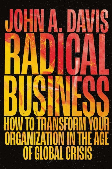 John A. Davis - Radical Business, E-bok