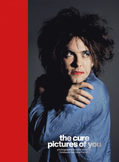 Tom Sheehan - Cure - Pictures of You, E-bok
