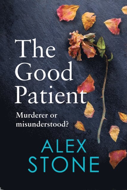 Alex Stone - Good Patient, E-bok