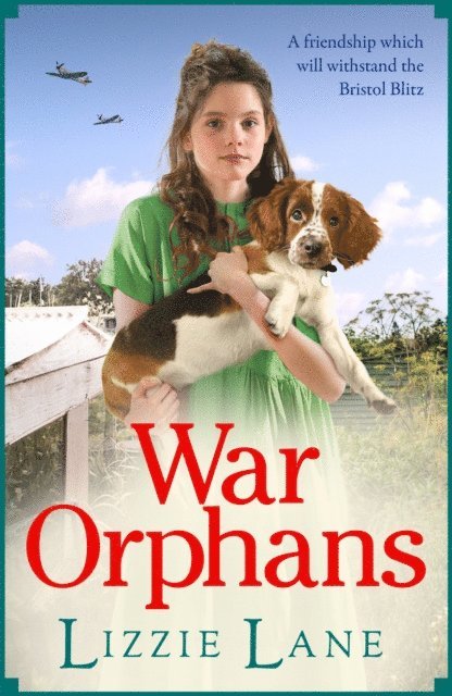 Lizzie Lane - War Orphans, E-bok