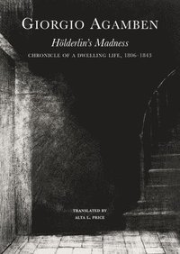 Hlderlins Madness  Chronicle of a Dwelling Life, 18061843