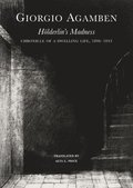 Hoelderlin's Madness - Chronicle of a Dwelling Life, 1806-1843