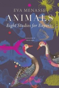Animals  Eight Studies for Experts