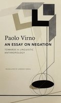 Essay on Negation