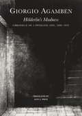 Hlderlins Madness