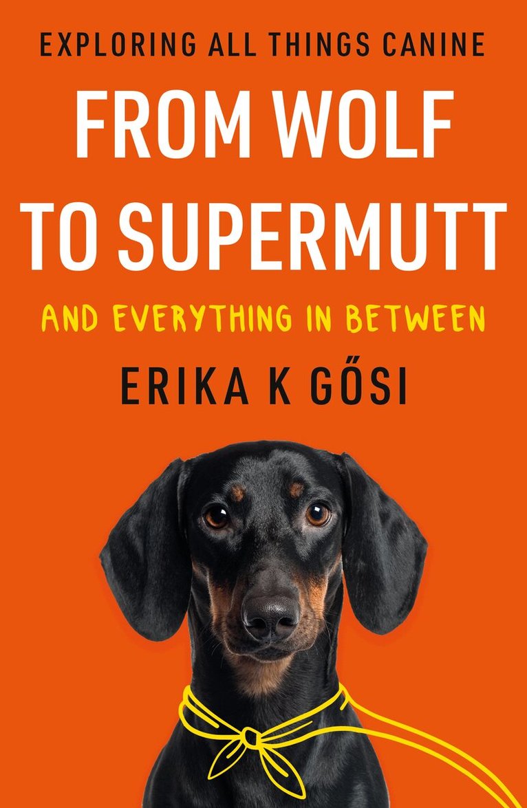 From Wolf to Supermutt and Everything In Between