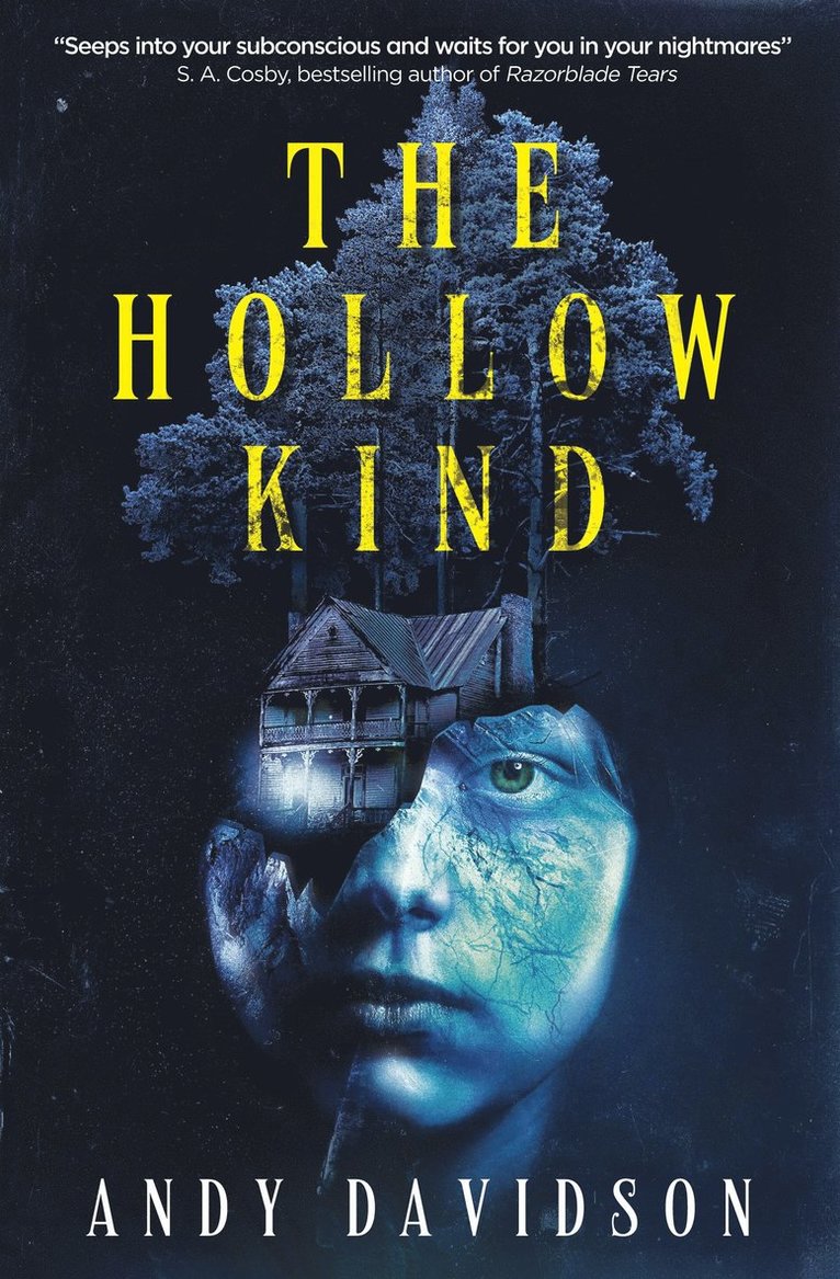 Andy Davidson - Hollow Kind, Häftad