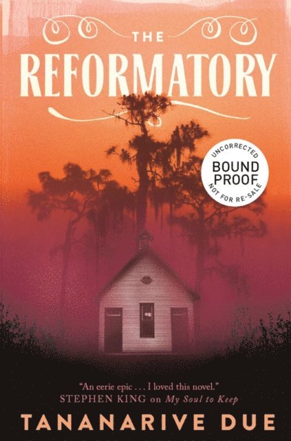 Tananarive Due - Reformatory, E-bok