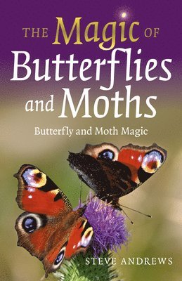 Steve Andrews - Magic of Butterflies and Moths, The, Häftad