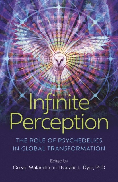 Phd Natalie L. Dyer, Ocean Malandra - Infinite Perception, E-bok