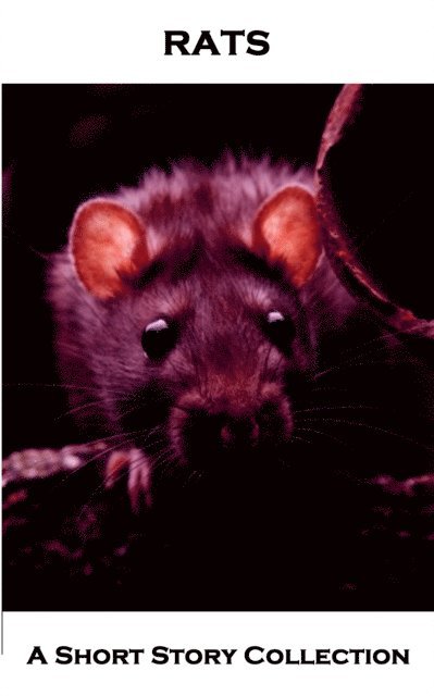 M R  James, H P  Lovecraft, Bram Stoker - Rats - A Short Story Collection, E-bok