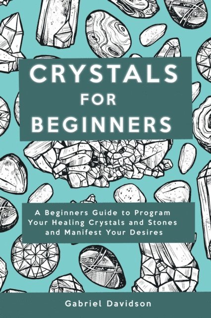 Gabriel Davidson - Crystal for Beginners, E-bok. Tillgänglighet: Lägg i varukorg