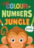 Hidden Colour By Numbers: Jungle