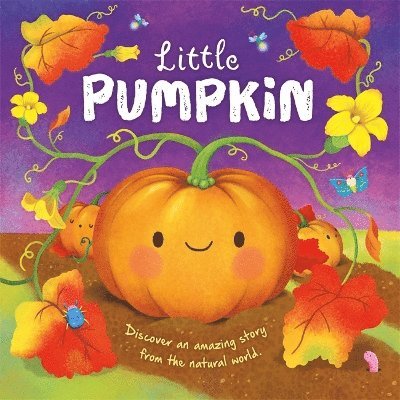 Autumn Publishing - Little Pumpkin, Inbunden