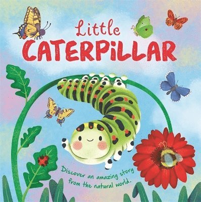 Autumn Publishing - Little Caterpillar, Inbunden