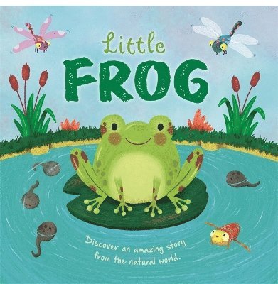 Autumn Publishing - Little Frog, Inbunden