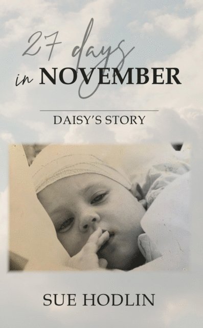 Sue Hodlin - 27 Days in November, E-bok. Tillgänglighet: Lägg i varukorg