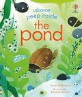 Peep Inside the Pond