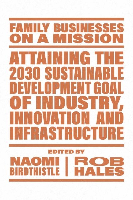 Rob Hales, Naomi Birdthistle - Attaining the 2030 Sustainable Development Goal of Industry, Innovation and Infrastructure, E-bok